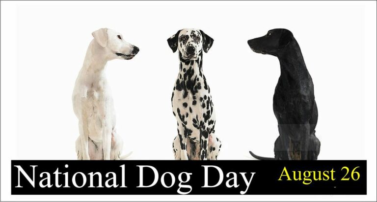 National dog day Quotes