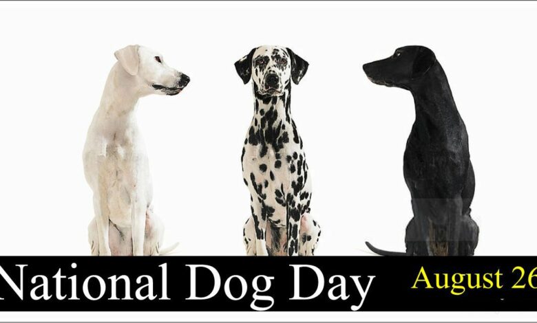 National dog day Quotes