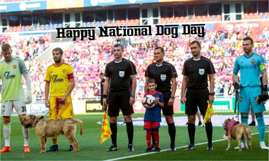 National dog day news