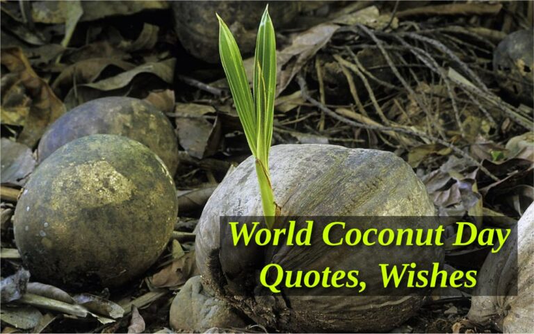 World Coconut Day Quotes