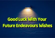 Future Endeavours Wishes