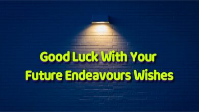 Future Endeavours Wishes