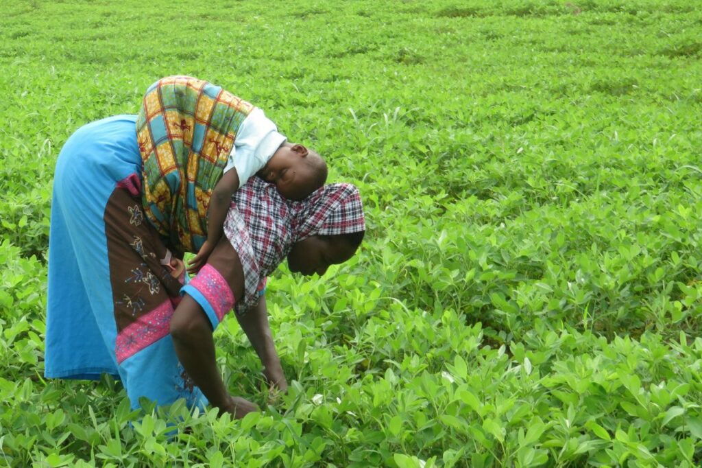 Ghana Farmer’s Day 2025: History, Activities