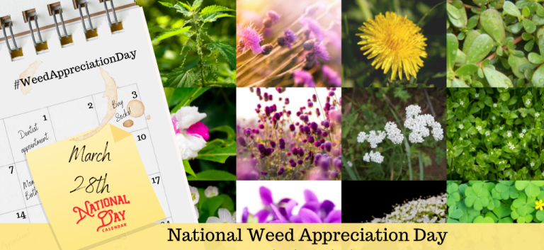 National  Weed Appreciation Day 2026: History, Activities