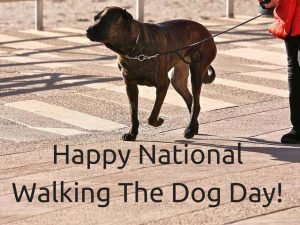 National Walking the Dog Day