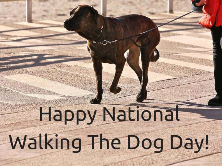 National Walking the Dog Day 2026: History, Activities