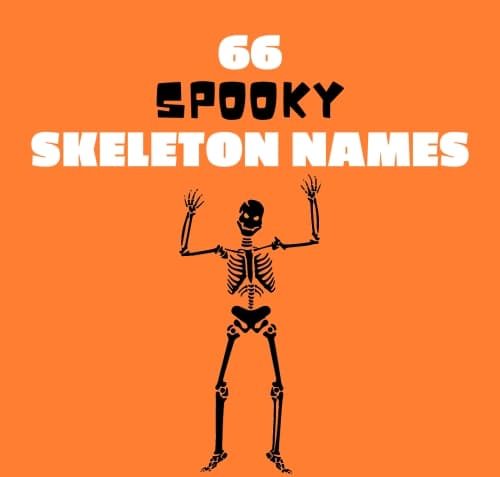 50+ Spooky Skeleton Names to Tickle your Funny Bone - National Day Review