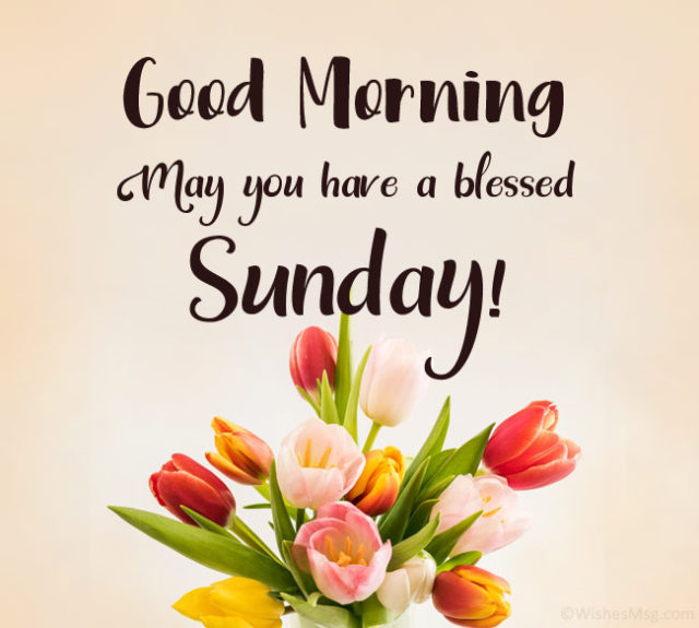 50+Good Morning Have a Blessed Sunday Wishes and Messages